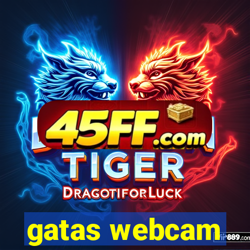gatas webcam